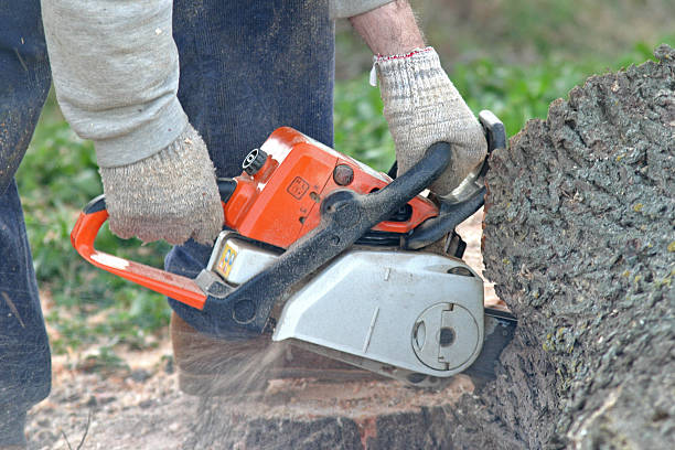 Mulching Services in Dewart, PA